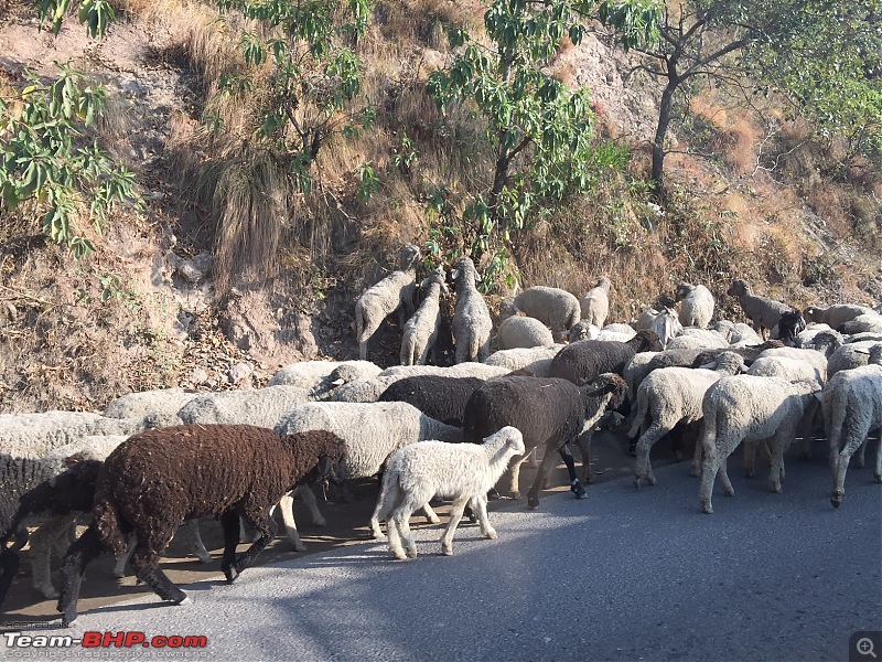 Ford Aspire : A Road-Trip to Himachal Pradesh-img_0135.jpg