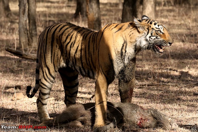 My Man Cave + A Close Encounter in Wayanad!-9.jpg