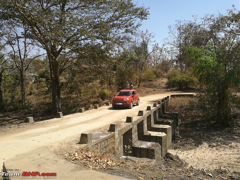 The Jungles of Pench-62.jpg