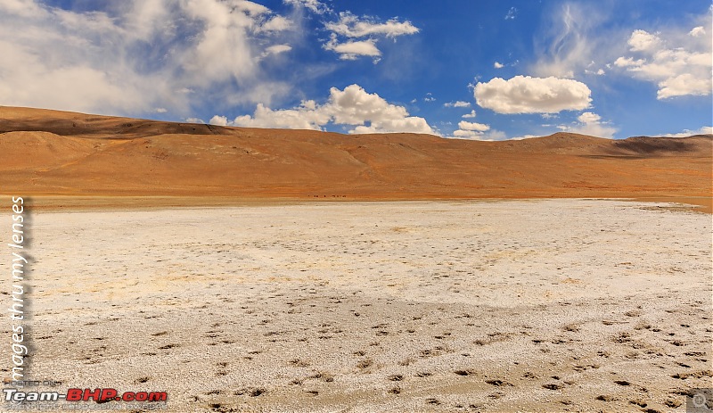 Ladakh - The Second Reckoning-ladakh-2016-673-tso-kiagar-1.jpg