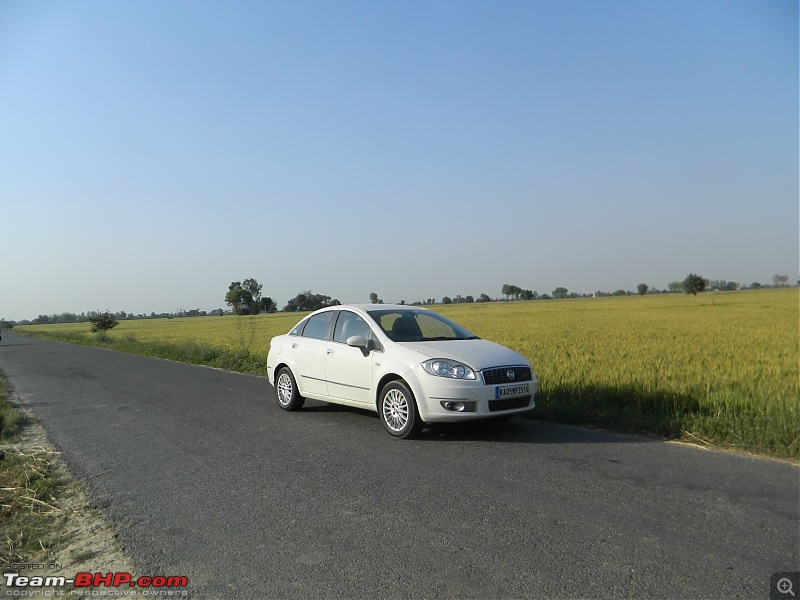 8597 Kms Drive - Exploring Himachal! Amritsar  Khajjiar  Dalhousie  Dharamshala  Manali - Chail-dscn7165.jpg