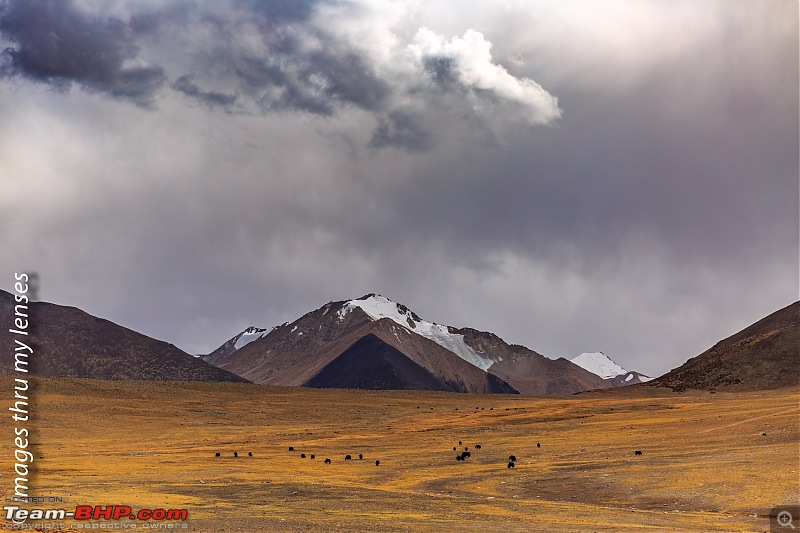 Ladakh - The Second Reckoning-ladakh-2016-880-towards-tang-tse-1.jpg