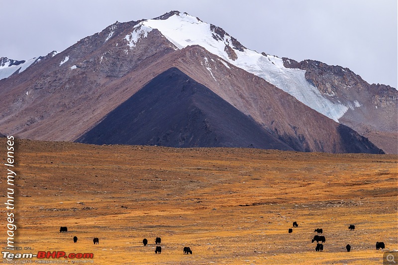 Ladakh - The Second Reckoning-ladakh-2016-860-towards-pangong-1.jpg