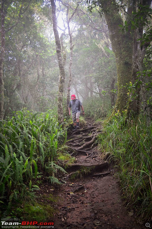 Hiking Mount Rinjani in Indonesia-dsc_6658.jpg