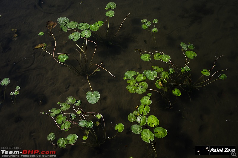 Nepal: Driving expedition through the trekking trail-tkd_2117.jpg