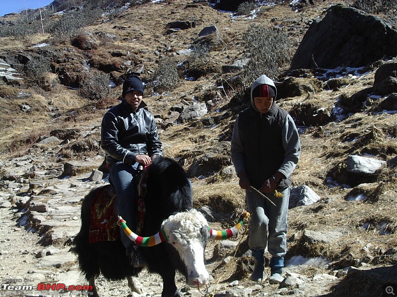 12 years of the Himalayas!-sumitroonyak.jpg