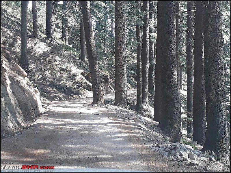 8597 Kms Drive - Exploring Himachal! Amritsar  Khajjiar  Dalhousie  Dharamshala  Manali - Chail-d83.jpg