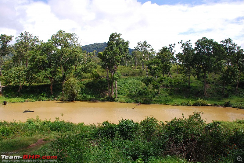 More Pics: Hyd-Bandipur-Madumalai-Nagarahole-baby-bath-2.jpg