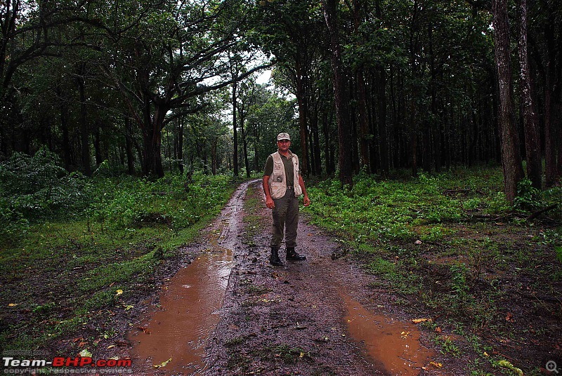 More Pics: Hyd-Bandipur-Madumalai-Nagarahole-after-push.jpg