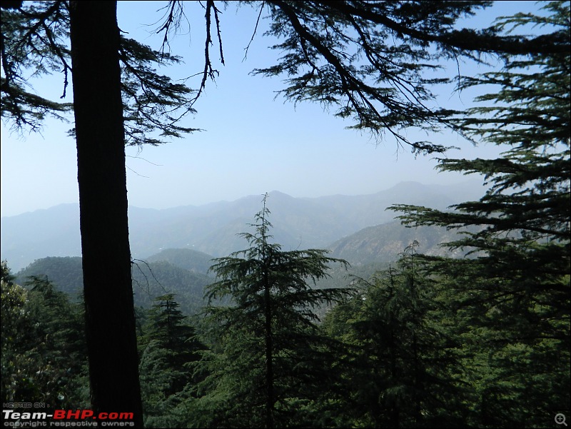 8597 Kms Drive - Exploring Himachal! Amritsar  Khajjiar  Dalhousie  Dharamshala  Manali - Chail-cp15.jpg