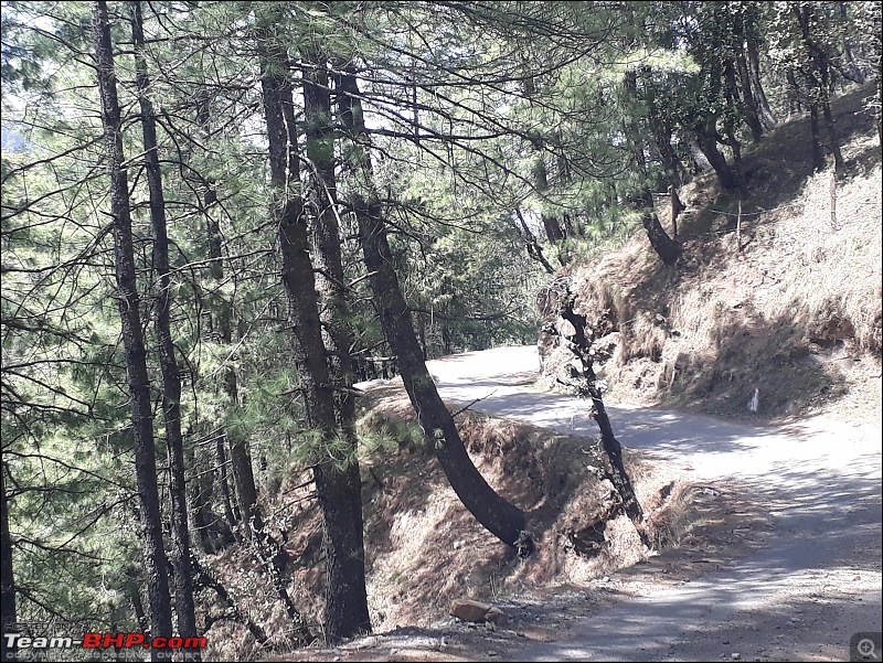 8597 Kms Drive - Exploring Himachal! Amritsar  Khajjiar  Dalhousie  Dharamshala  Manali - Chail-r8.jpg