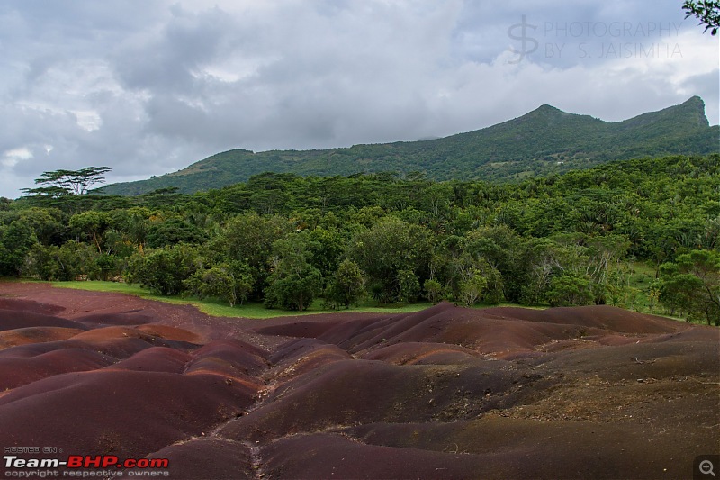 Vive la Maurice - A week in Mauritius-mru-481.jpg