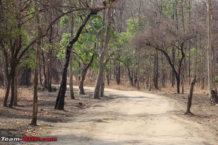 Hyderabad to Pench National Park in a TUV300-img_9169.jpg