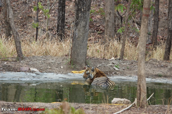 Hyderabad to Pench National Park in a TUV300-img_9194.jpg