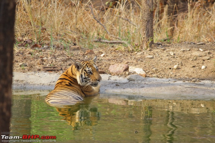 Hyderabad to Pench National Park in a TUV300-img_9304.jpg