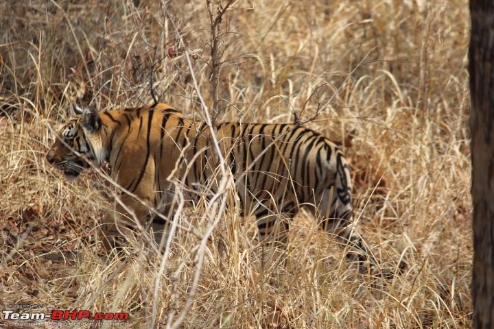 Hyderabad to Pench National Park in a TUV300-img_9470.jpg