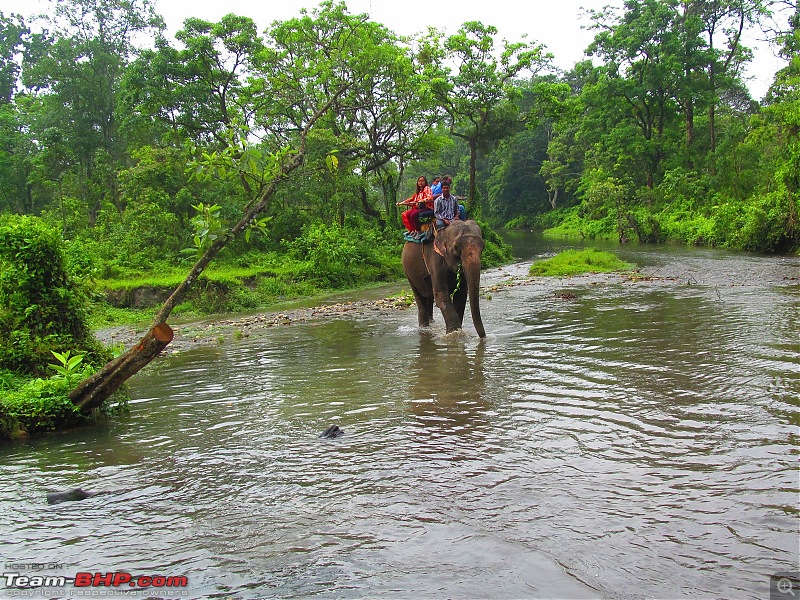Call of the Wild: 1627 km drive to Jaldapara National Park, Buxa, Jayanti & Phuntsholing (Bhutan)-img_7816.jpg