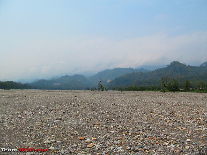 Call of the Wild: 1627 km drive to Jaldapara National Park, Buxa, Jayanti & Phuntsholing (Bhutan)-img_7874.jpg