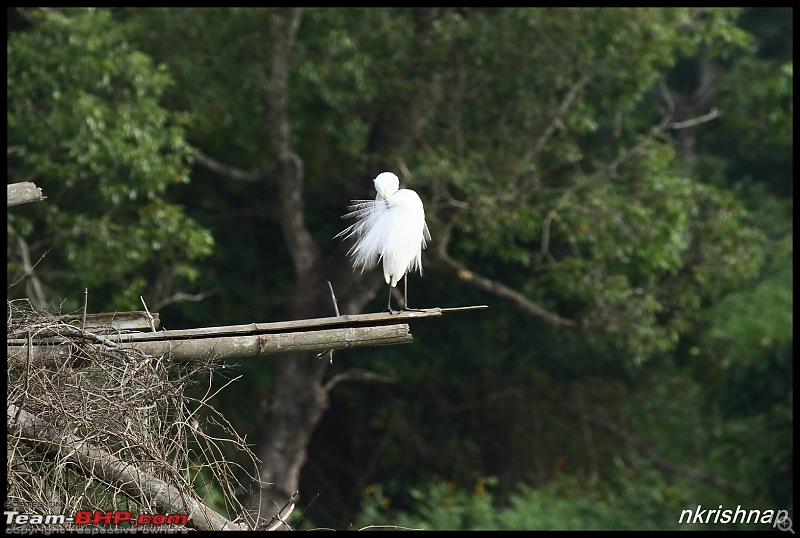 Kabini jungle lodges and resorts, Karapore-img_7985.jpg