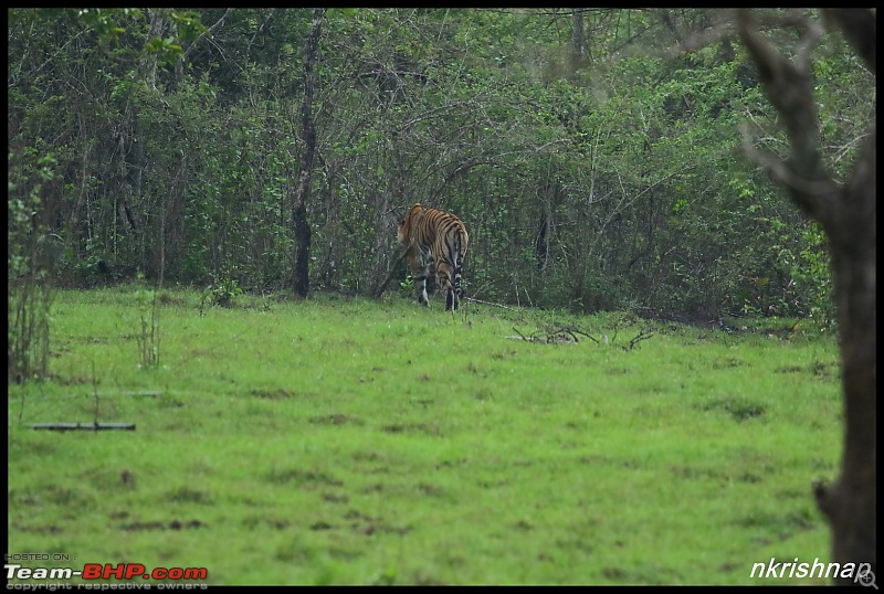 Kabini jungle lodges and resorts, Karapore-img_8452.jpg