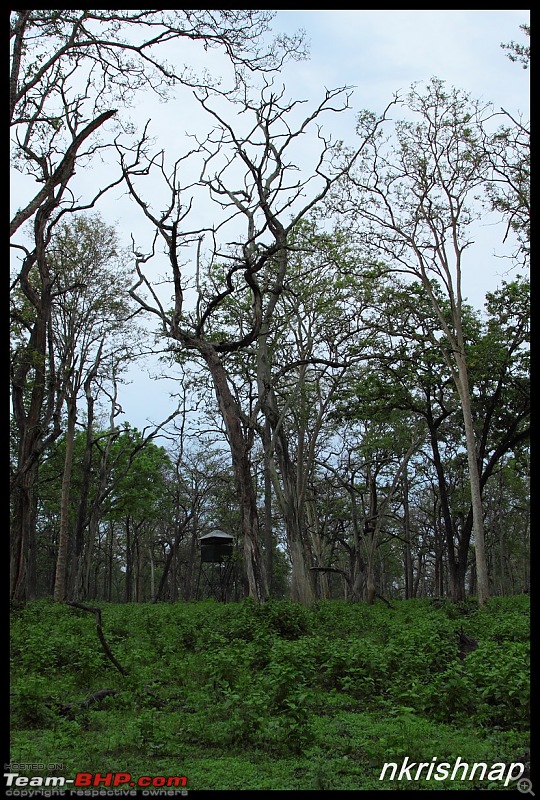 Kabini jungle lodges and resorts, Karapore-img_8460.jpg