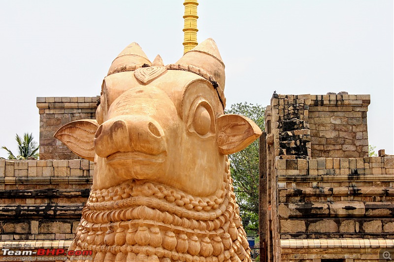 A trip to the great living Chola Temples-cholapuram_nandi.jpg