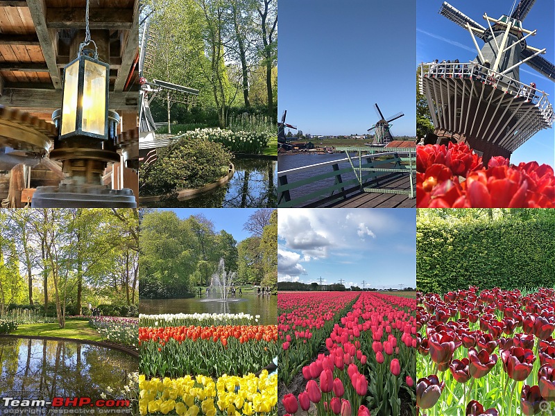 Three weeks of bliss in Europe - A self-planned holiday-keukenhof.jpg