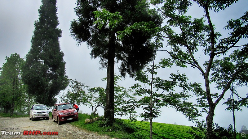 Mystical Sikkim - Utopia here, now!-21.jpg