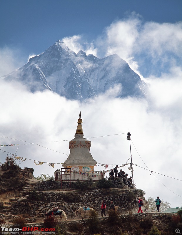 Trek to the Everest Base Camp-yaks-chorten-ama-dablam.jpg