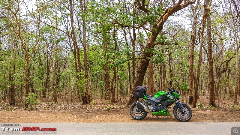 Chennai - Goa on a Kawasaki Z250-mollem-road-1.jpg