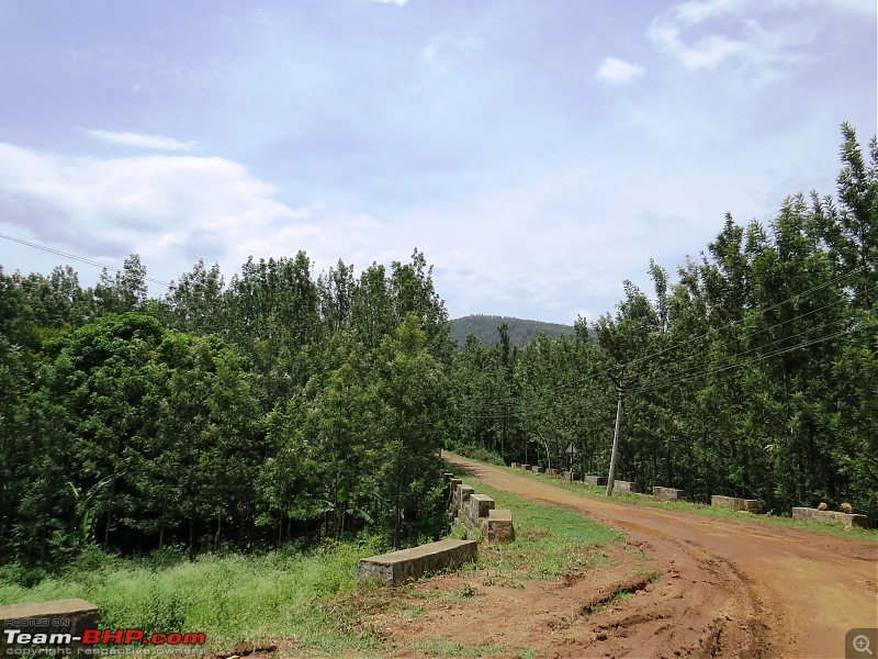 Getting out of the City in a (Honda) City - A day trip to Yercaud-img_4568.jpg