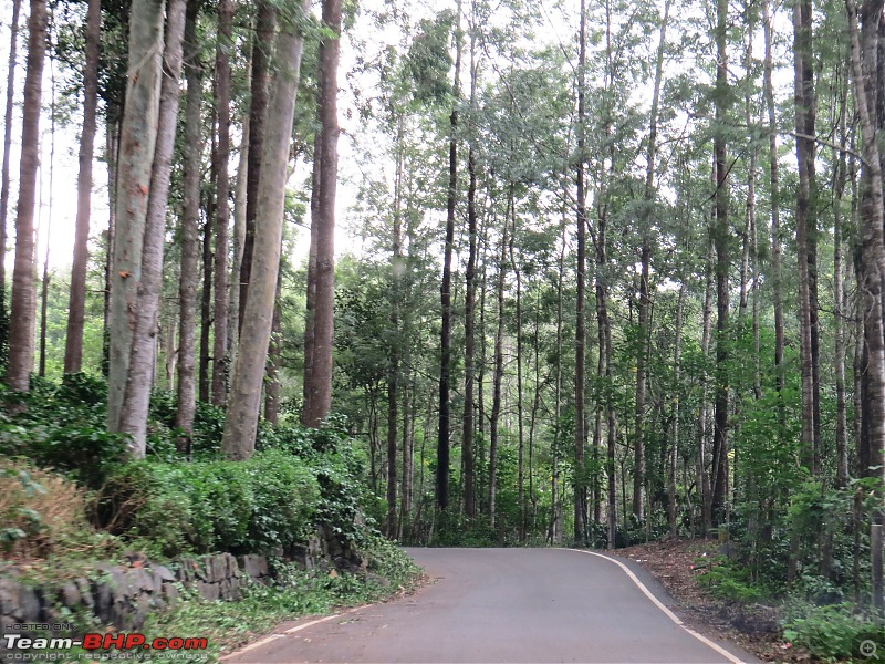 Getting out of the City in a (Honda) City - A day trip to Yercaud-img_4609.jpg