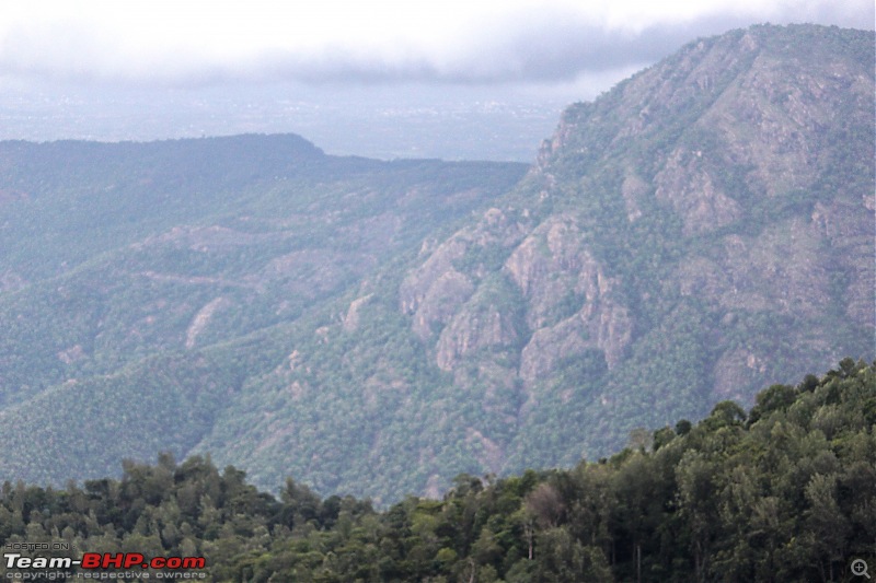 Getting out of the City in a (Honda) City - A day trip to Yercaud-img_8892.jpg