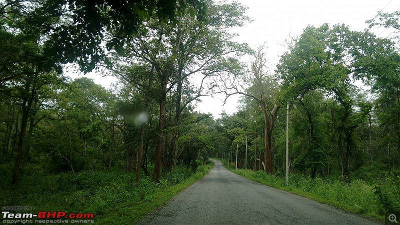 Jungle Retreat Wayanad and Nagarahole-img_20170626_114938249.jpg