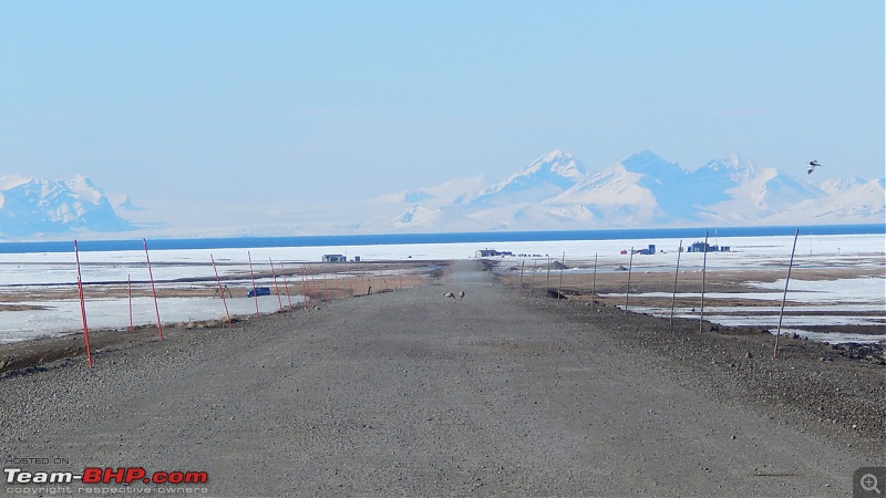 Svalbard, Norway : The 'top of the world' feeling-dscn1404.jpg