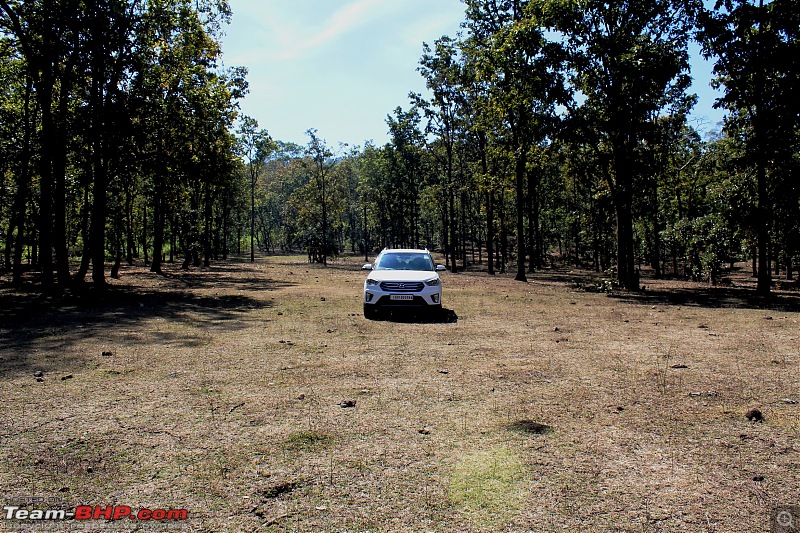 When Google Maps takes you to the road less travelled!-nanook-resting-serene-environs.jpg