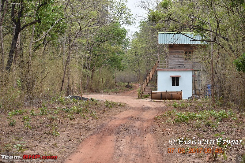 Blue Bolt: Hyderabad to Tadoba. Tigers spotted!-dsc_0989.jpg