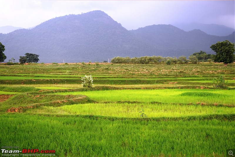 Monsoon weekend drive: Bangriposi & Simlipal with a bunch of car enthusiasts-4r.jpg