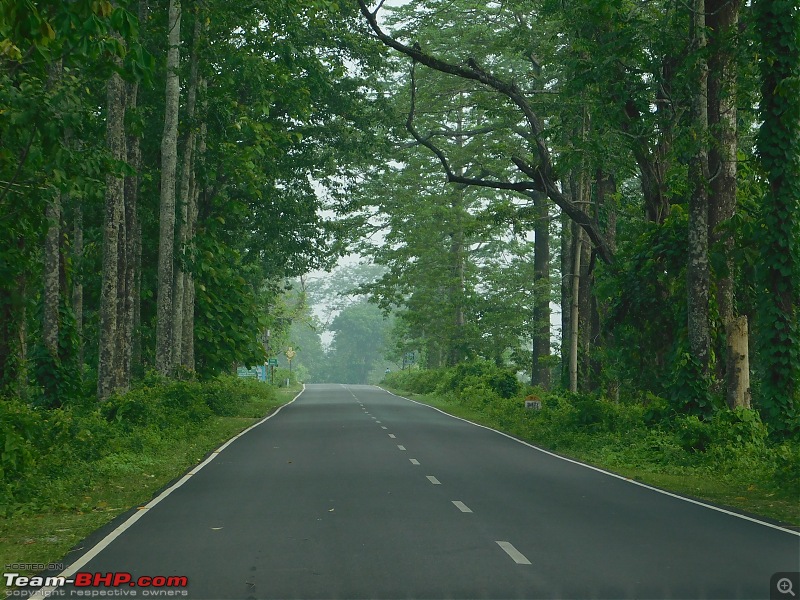 Tuskers of Chilapata : A thrilling drive to Northern Bengal & Bhutan-dscn1505nh31.jpg