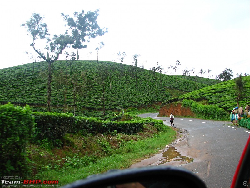Roadtrip through South India : Hyd - Blr - Wyn - Mys - Blr - Hyd-img_4620.jpg