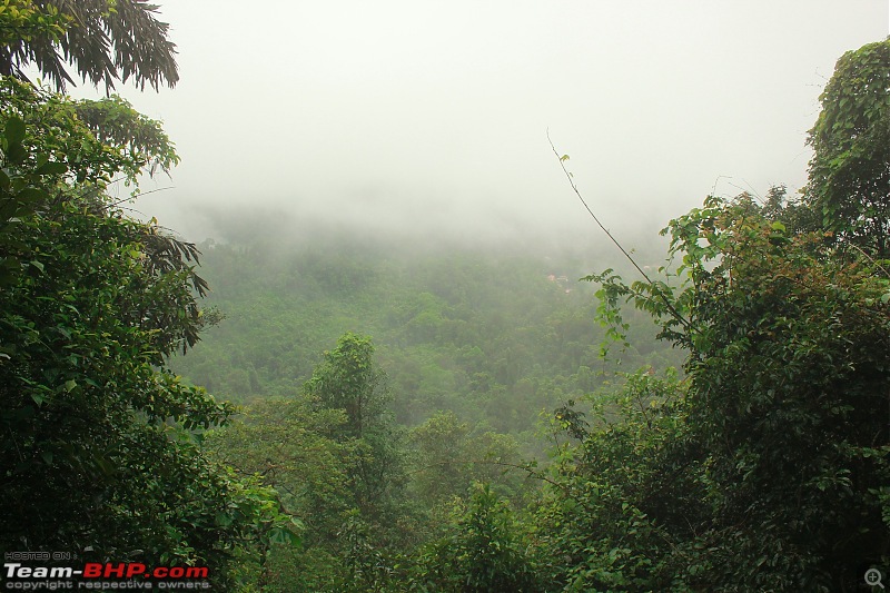 Winsome Peak - Kodachadri-76.jpg