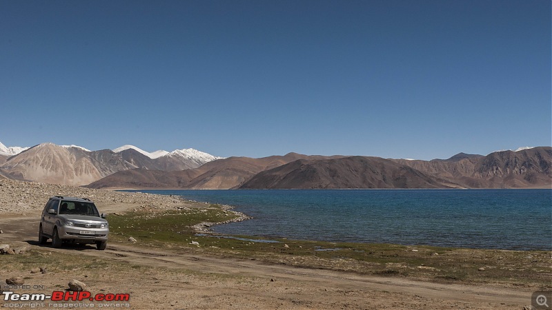 Ladakh'ed in a Tata Safari Storme-pengongnyoma_6.jpg
