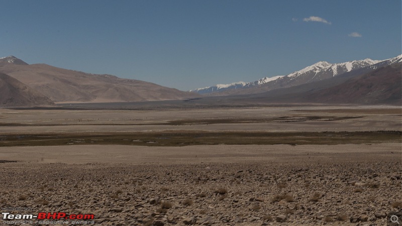 Ladakh'ed in a Tata Safari Storme-pengongnyoma_19.jpg