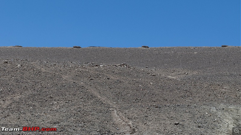 Ladakh'ed in a Tata Safari Storme-pengongnyoma_27.jpg