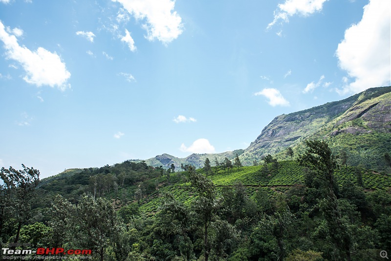 To Munnar in a Ford Endeavour!-zcx_1402.jpg