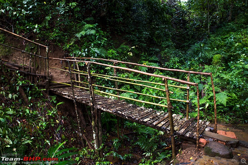 To Munnar in a Ford Endeavour!-zcx_1882.jpg