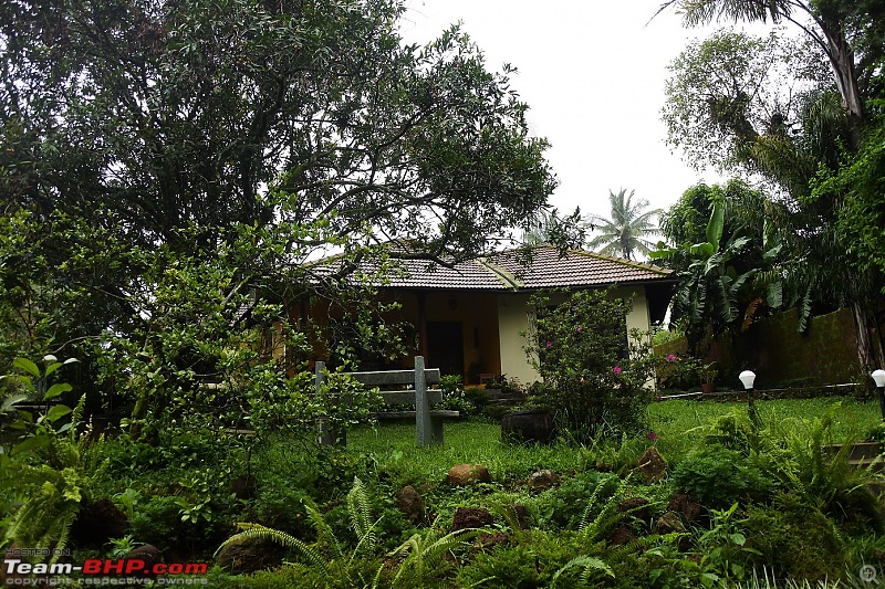 Drive to Coorg - A monsoon getaway with the family-gowrinivas.jpg