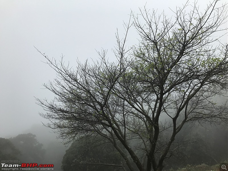 Drive to Coorg - A monsoon getaway with the family-talacauvery.jpg