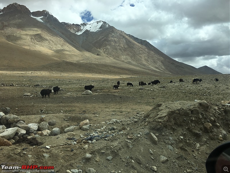 Every driving enthusiast's dream - Group of XUV500s getting Leh'ed!-img_4313.jpg