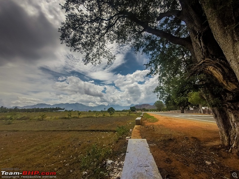 Chennai to Munnar on a Dominar 400 & YZF-R3-juice-stop-thenimin.jpg